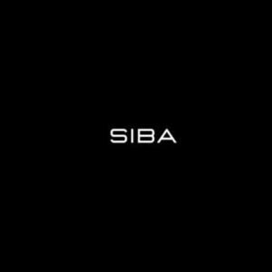Salif Sibane – Siba Ecom Mastermind: Complete Guide for Entrepreneurs