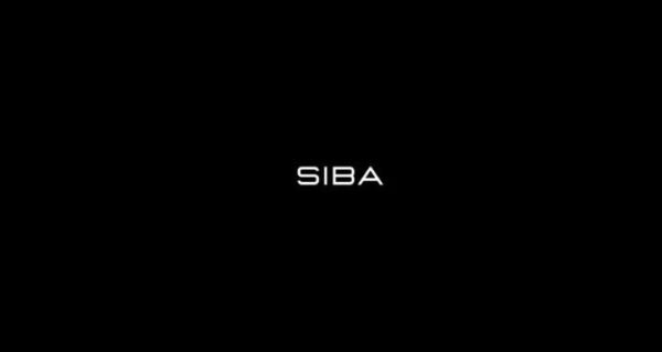 Salif Sibane – Siba Ecom Mastermind: Complete Guide for Entrepreneurs